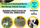 #ColoniaCaroya : CURSO DE PODA EN FORESTALES URBANOS