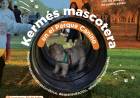 #JesusMaria : Kermés mascotera en el Parque Canino