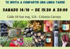 #ColoniaCaroya : Primera feria agroecológica 