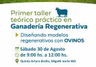 #COLONIACAROYA : Taller en Ganadería regenerativa