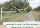 #SINSACATE - Plantación participativa: Una nueva vida  un árbol