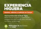 #COLONIACAROYA: Experiencia higuera en Puesto Viejo 