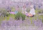 #VILLAGRALBELGRANO - celebra la 5ª edición de la Fiesta de la Cosecha de la Lavanda