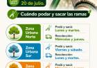 #COLONIACAROYA : Inicia el período de poda: cómo hacer el trámite y qué días podar