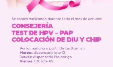 #ColoniaCaroya : OCTUBRE ES “CAROYA ROSA”