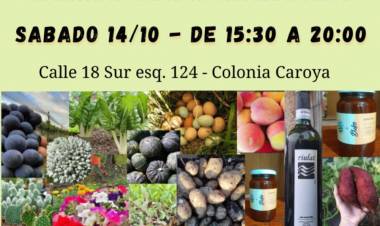 #ColoniaCaroya : Primera feria agroecológica