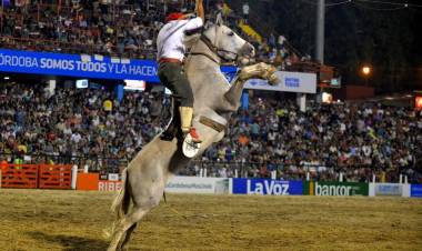 #JesusMaria : Encefalomielitis equina, la palabra de la Comisión del Festival de Doma y Folklore