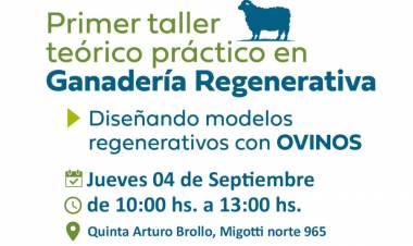 #COLONIACAROYA : Taller en Ganadería regenerativa