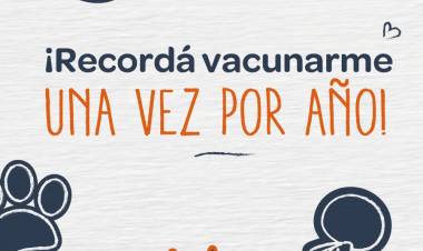 #JESUSMARIA - Arranca en Jesús María una nueva campaña gratuita de vacunación antirrábica