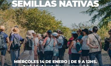 #Cordoba: Caminata de Recolección de Semillas Nativas 