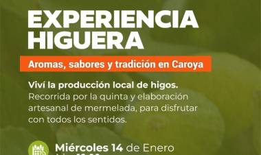 #COLONIACAROYA: Experiencia higuera en Puesto Viejo 