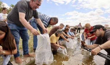 #CRUZDELEJE : Refuerzan la vida en el dique: sembraron más de mil pejerreyes en Cruz del Eje