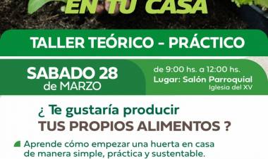 #COLONIACAROYA: La huerta en casa