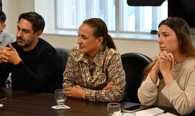 #PROVINCIAL - La Legislatura recibió a referentes de la discapacidad para avanzar en una Ley Antidiscriminatoria