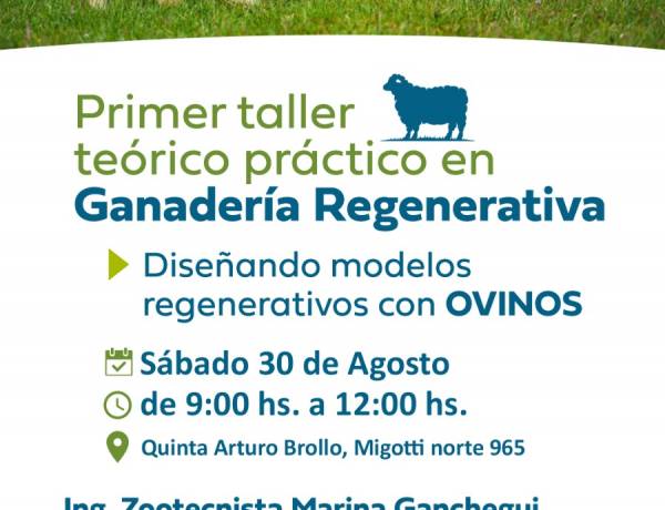 #COLONIACAROYA : Taller en Ganadería regenerativa