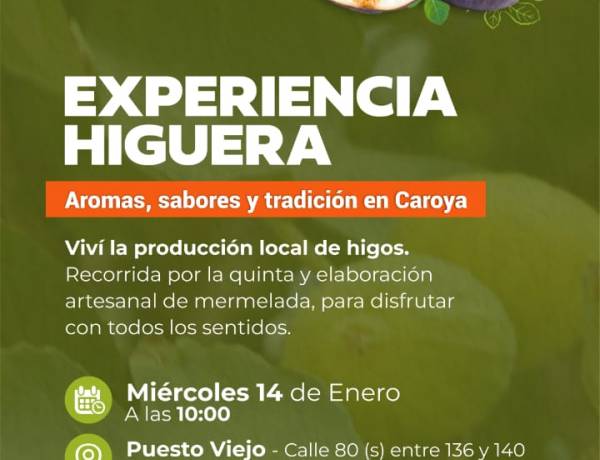 #PUESTOVIEJO - Proponen una experiencia de cosecha y elaboración de dulce de higo en Puesto Viejo
