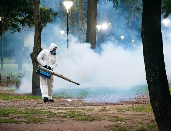 #COLONIACAROYA - La municipalidad de Colonia Caroya inició un Programa Integral de Control de Mosquitos