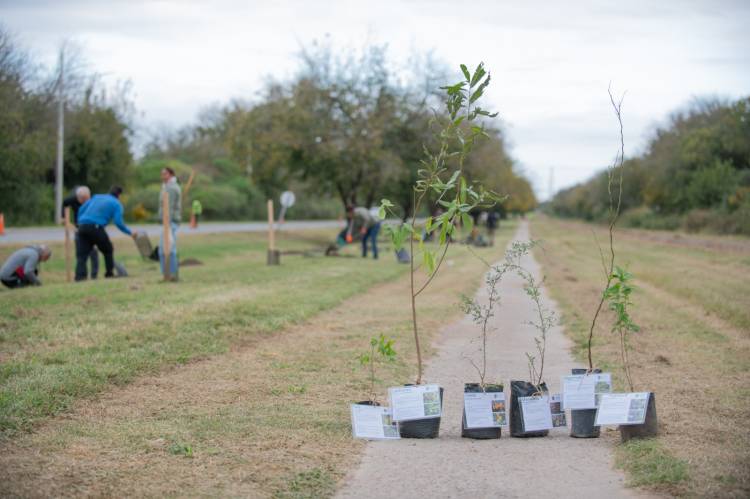 #SINSACATE : compartió su experiencia en el 15º Congreso de la Red Argentina del Paisaje