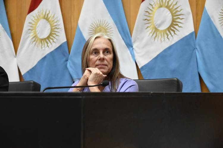 #PROVINCIAL - El Consejo Provincial de Personas Mayores se reunió en la Unicameral
