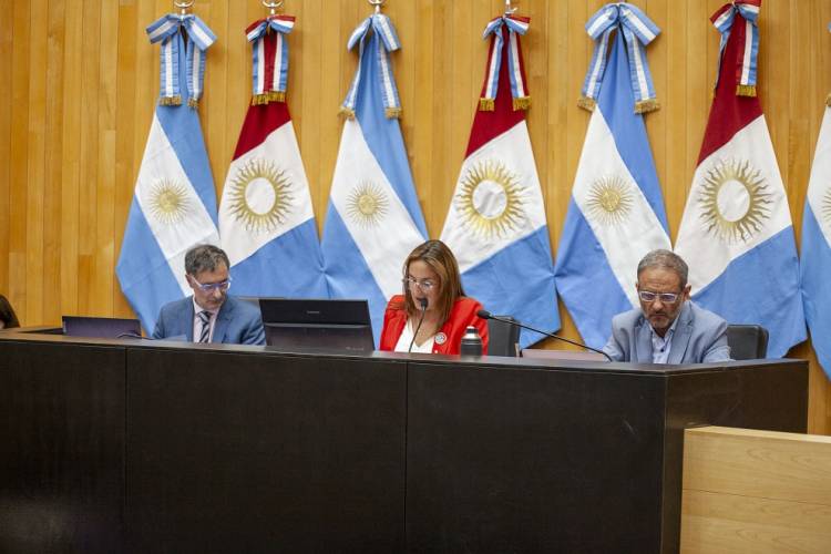 #Provinciales: La Legislatura aprobó una ley para regular la actividad profesional de la obstetricia