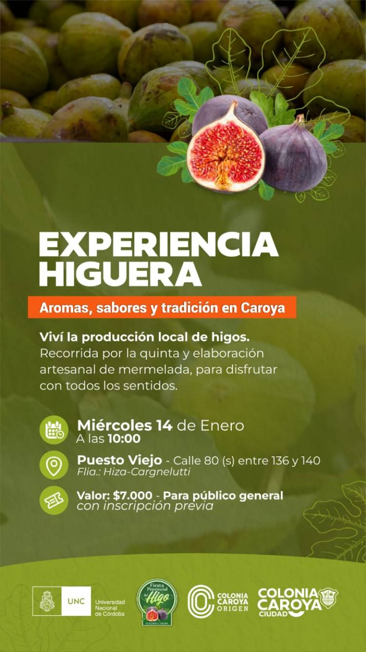 #PUESTOVIEJO - Proponen una experiencia de cosecha y elaboración de dulce de higo en Puesto Viejo