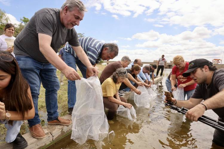 #CRUZDELEJE : Refuerzan la vida en el dique: sembraron más de mil pejerreyes en Cruz del Eje
