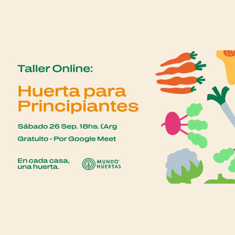 #COLONIACAROYA: 